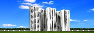 download (5) download (5)